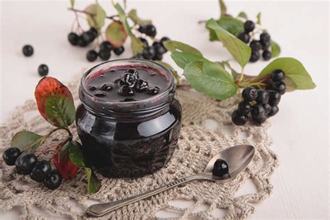 Autumn forage: Tips for Finding and Harvesting Wild Black Chokeberries